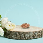 Natural 1 Face/Mukhi Rudraksha - Indonesian