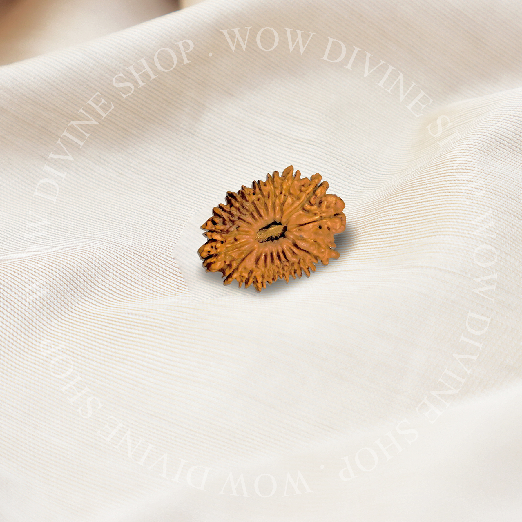Natural 19 Face/Mukhi Rudraksha - Nepali