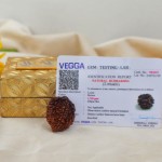 Natural 2 Mukhi/Face Rudraksha,