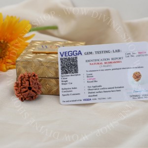 Natural 3 Mukhi Rudraksha - Nepali