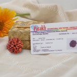 Natural 4 Mukhi Rudraksha - Nepali