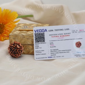 Natural 5 Face/Mukhi Rudraksha - Nepali