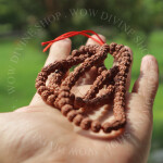 Natural 5 Face/Mukhi Rudraksha Mala