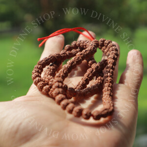 Natural 5 Face/Mukhi Rudraksha Mala