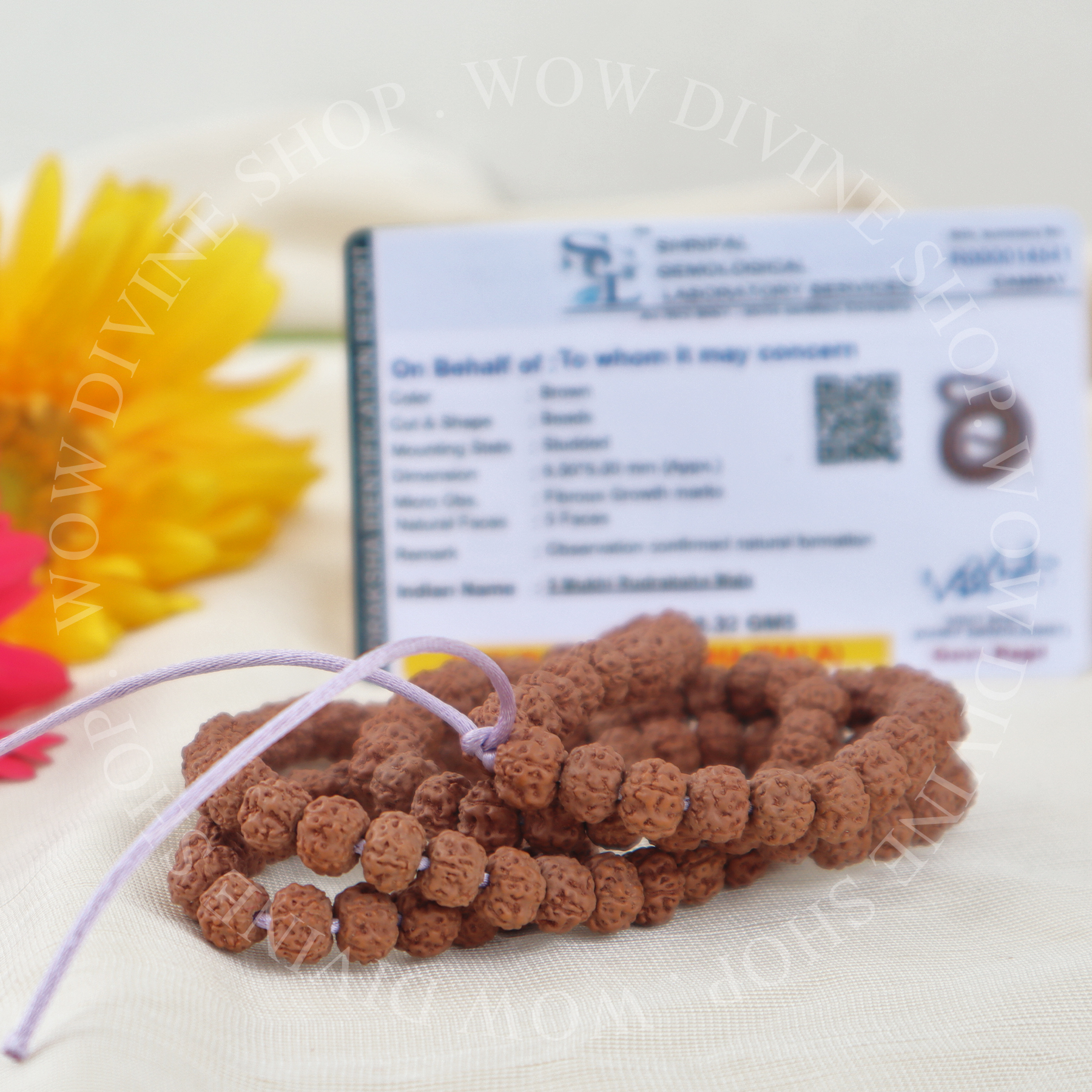 Natural 5 Face/Mukhi Rudraksha Mala