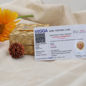 Natural 7 Mukhi Rudraksha - Nepali
