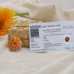 Natural 9 Mukhi Rudraksha - Nepali