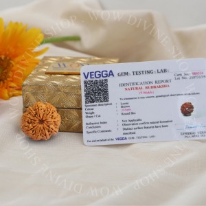 Natural 9 Mukhi Rudraksha - Nepali