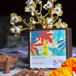 Chandan Fragrance Dhoop Cones - Charcoal & Bamboo Free