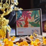 Hawan Fragrance Dhoop Cones - Charcoal & Bamboo Free