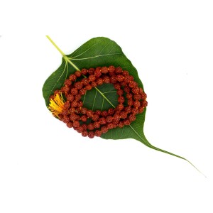 Rudraksha Simrani