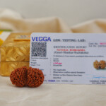 Natural Gauri Shankar Rudraksha