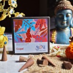 Gugal Fragrance Dhoop Cones - Charcoal & Bamboo Free
