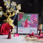 Gulab  Fragrance  Dhoop Cones - Charcoal & Bamboo Free