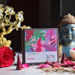 Gulab  Fragrance  Dhoop Cones - Charcoal & Bamboo Free