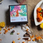 Hawan Fragrance Dhoop Cones - Charcoal & Bamboo Free