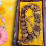 Indrani Mala - Nepali