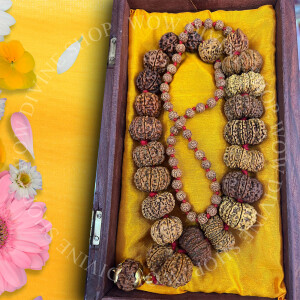 Indrani Mala - Nepali