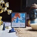 Jasmine Fragrance Dhoop Cones - Charcoal & Bamboo Free
