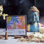 Mogra Fragrance Dhoop Cones - Charcoal & Bamboo Free