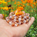 Rudraksha and Sphatik Mala