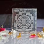 Shree Lakshmi Yantra - Pure Silver