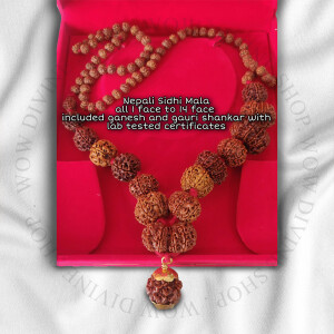 Siddha Mala Rudraksha - Nepali